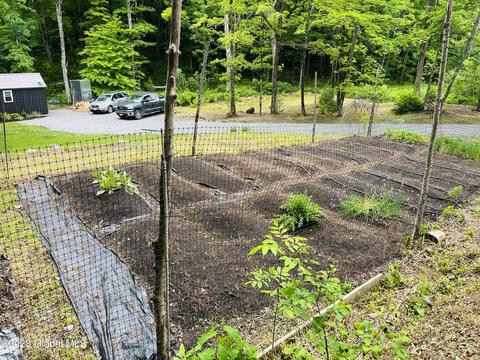 168 Middle Rd, Austerlitz, NY 12017 photo 15