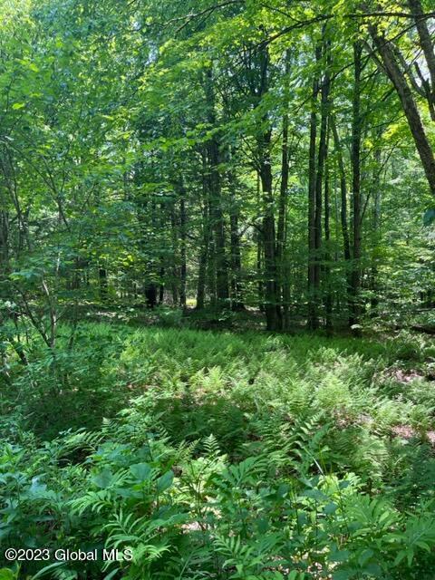 0 Gentile Rd, East Nassau, NY 12062