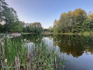 226 Hadlock Pond Rd, Fort Ann, NY 12827