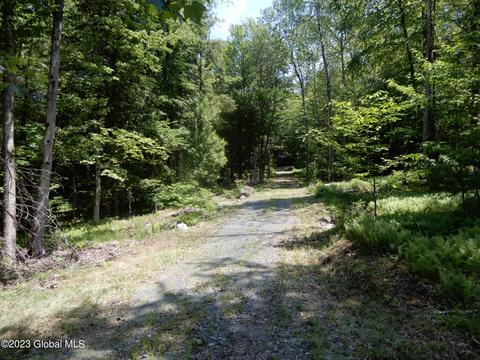 473 Madonna Lake Rd, Cropseyville, NY 12052