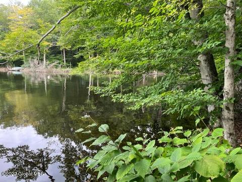 lot155 N Shore Rd, Gloversville, NY 12078