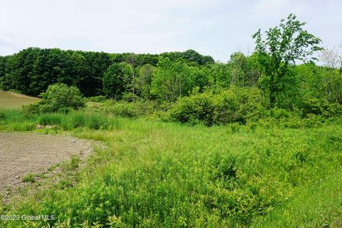 L36 Cronkhite Road, Little Falls, NY 13365