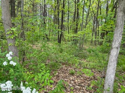 00 S Jarvis Rd, Ravena, NY 12143