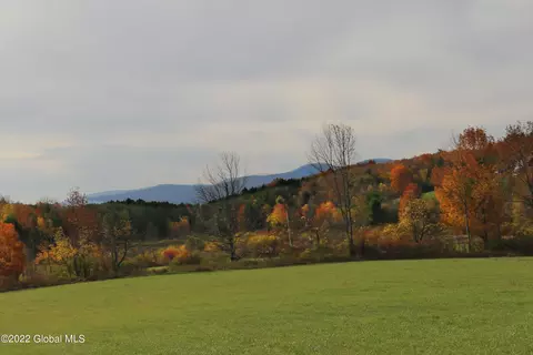 L34.31 Sr 85, Westerlo, NY 12193