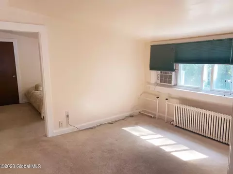 20 Tower Ave, Schenectady, NY 12304 photo 19