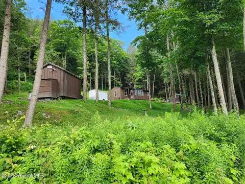447 Woods Rd, Middleburgh, NY 12122
