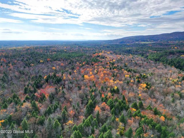 154 Alpine Meadows Rd, Porter Corners, NY 12859