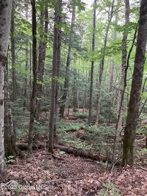 1 New York 28 # l12, North Creek, NY 12853