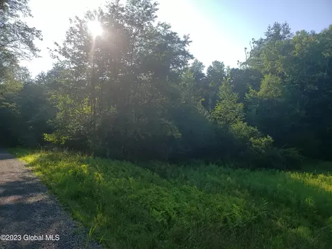 L44 Kinderhook Ln, Brainard, NY 12062