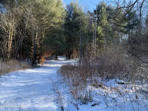 lot1 Voorhees Rd, Dolgeville, NY 13329