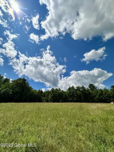 L11 Mountain Pond View Road, Conesville, NY 12076