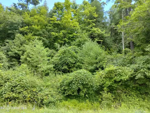 L1.3 County Route 1, Putnam Station, NY 12861