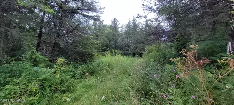 L35 Cooper Village Lane, Middleburgh, NY 12122