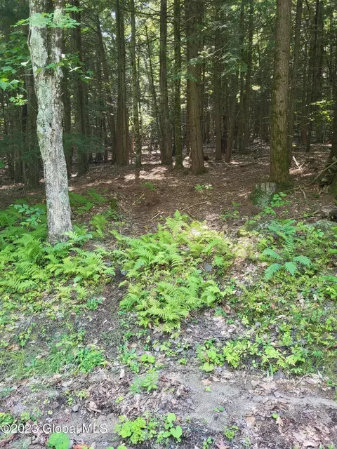 L3.004 Parker Rd., Hadley, NY 12835