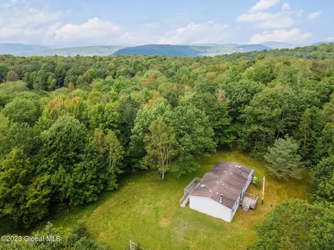 463 Connor Rd, Schenevus, NY 12155 photo 33