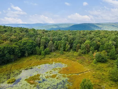 463 Connor Rd, Schenevus, NY 12155 photo 39