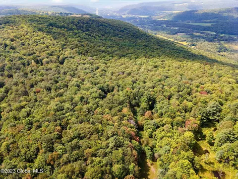463 Connor Rd, Schenevus, NY 12155 photo 34