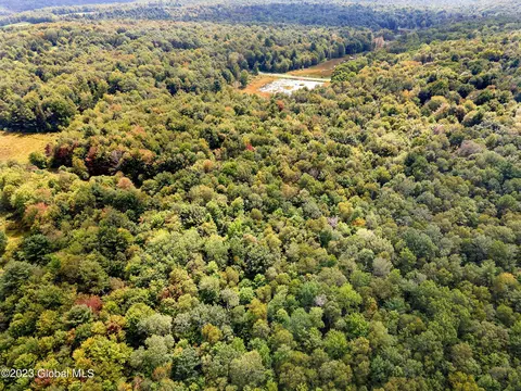 463 Connor Rd, Schenevus, NY 12155 photo 35