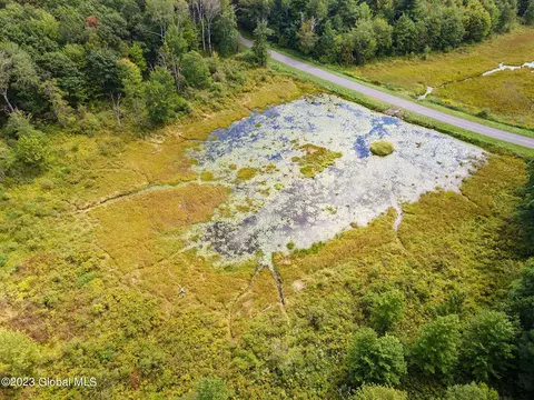 463 Connor Rd, Schenevus, NY 12155 photo 38