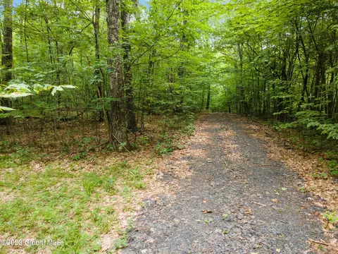 184 Last Chance Ln, Richmondville, NY 12149