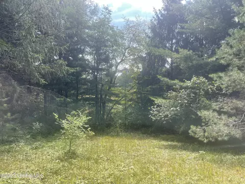 40 Ormsbee Rd, Porter Corners, NY 12859 photo 18
