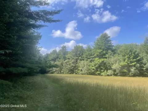 40 Ormsbee Rd, Porter Corners, NY 12859 photo 8