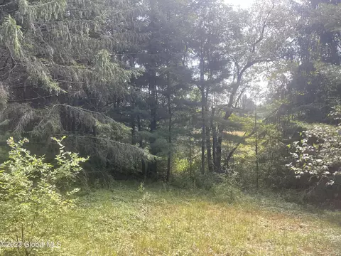 40 Ormsbee Rd, Porter Corners, NY 12859 photo 17