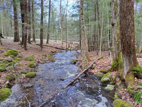 L39 Valentine Pond Road Road, Adirondack, NY 12808