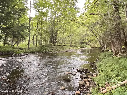 100 Cheney Pond Road, Minerva, NY 12851