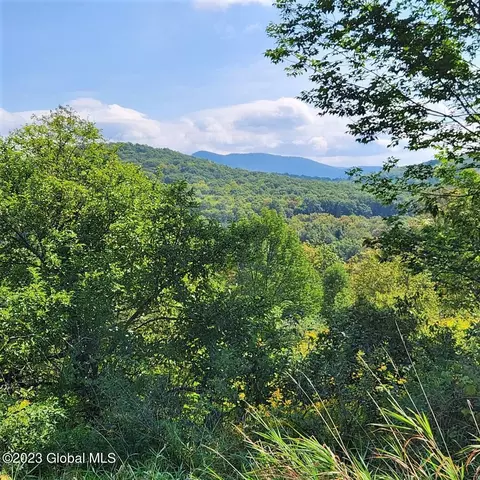 0 Higgins Rd, Salem, NY 12865