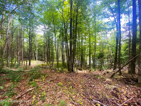 L6.2 Charley Hill Road, Schroon Lake, NY 12870