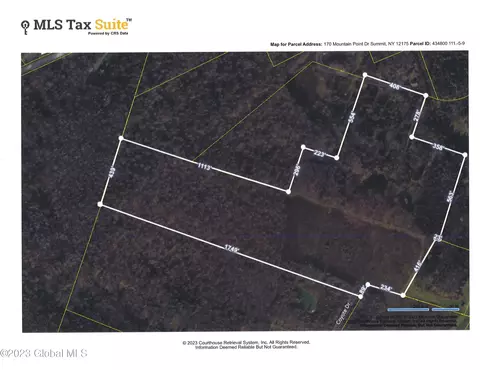 170 Mountain Point Dr, Summit, NY 12175 photo 21