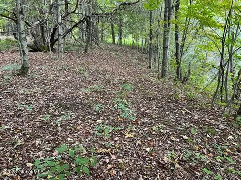 170 Mountain Point Dr, Summit, NY 12175 photo 3