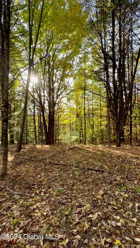 lot9 Lake View Hill Rd, Bolton Landing, NY 12814