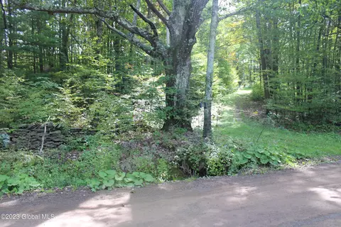 870 Sherman Hill Rd, Franklin, NY 13775