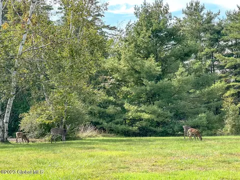 21 Timlo Loop, Diamond Point, NY 12824 photo 106