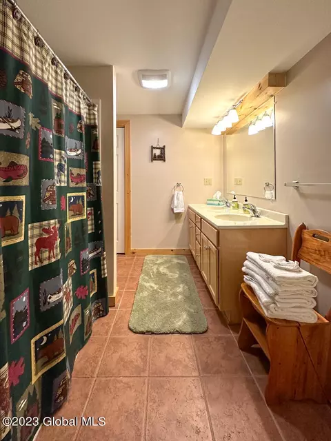 21 Timlo Loop, Diamond Point, NY 12824 photo 99