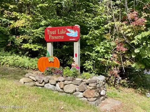 21 Timlo Loop, Diamond Point, NY 12824 photo 107
