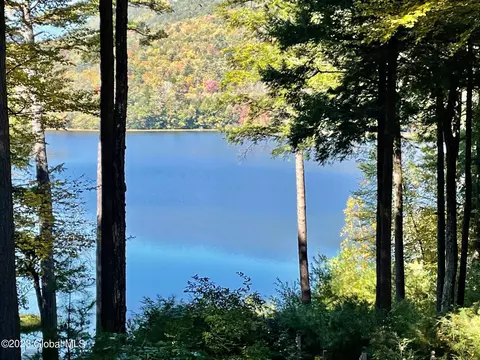 21 Timlo Loop, Diamond Point, NY 12824 photo 25