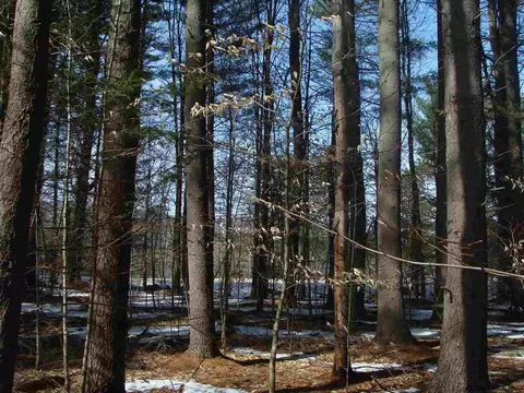 260 Alpine Meadows Rd, Porter Corners, NY 12859
