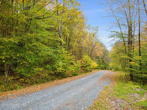 L22.13 Haner Road, Gilboa, NY 12076
