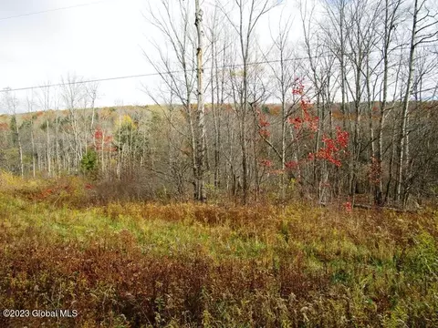 121 Two Post Ln, Warnerville, NY 12187 photo 27