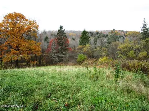 121 Two Post Ln, Warnerville, NY 12187 photo 19