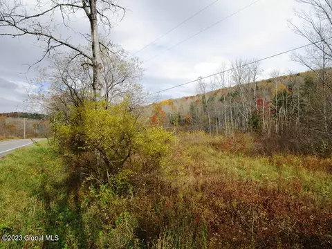 121 Two Post Ln, Warnerville, NY 12187 photo 26