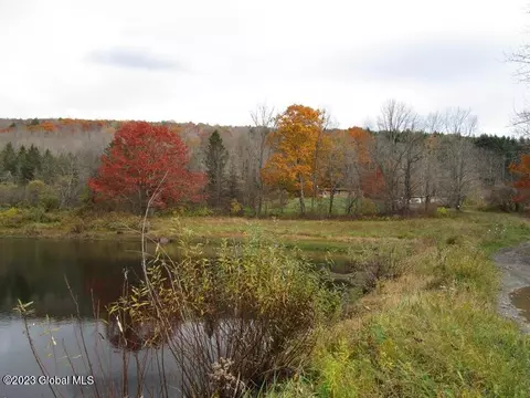 121 Two Post Ln, Warnerville, NY 12187 photo 4