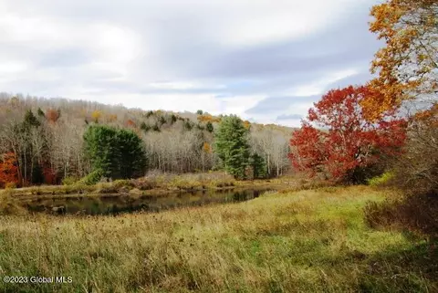 121 Two Post Ln, Warnerville, NY 12187 photo 7