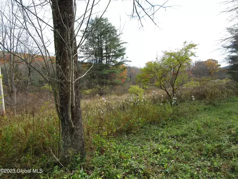121 Two Post Ln, Warnerville, NY 12187 photo 25