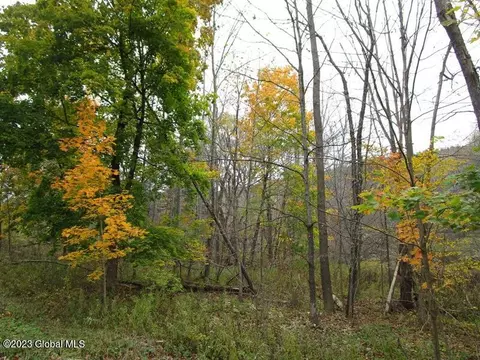 121 Two Post Ln, Warnerville, NY 12187 photo 9