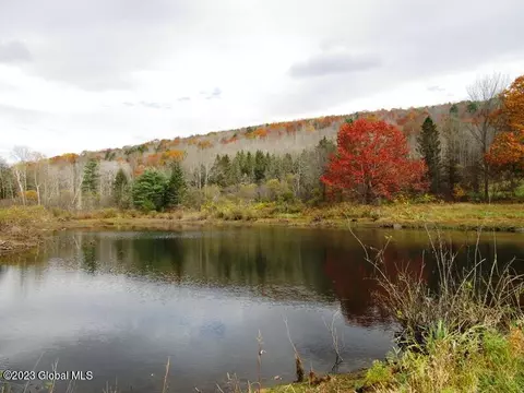 121 Two Post Ln, Warnerville, NY 12187 photo 5