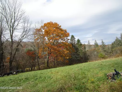 121 Two Post Ln, Warnerville, NY 12187 photo 6